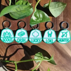 Dog Tag Personalizate - Medalioane verzi cu diferite simboluri Loki
Cash
Padure
