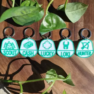 Dog Tag Personalizate - Medalioane verzi cu diferite simboluri Loki
Cash
Padure