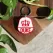 Dog Tag sau Breloc Personalizat - Medalion rosu cu simbol Duce